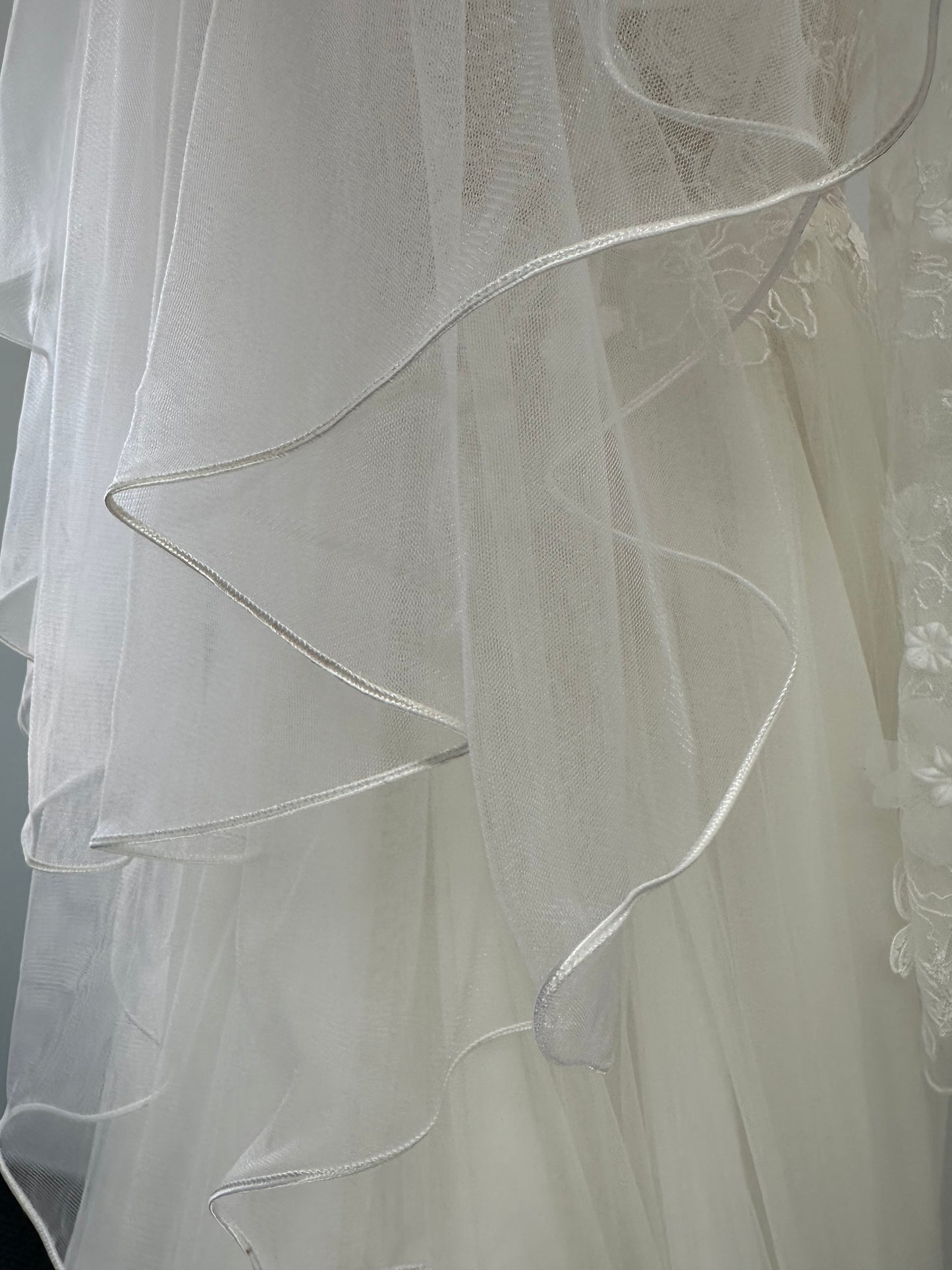 M12 35"/2 RIBBON | VEIL