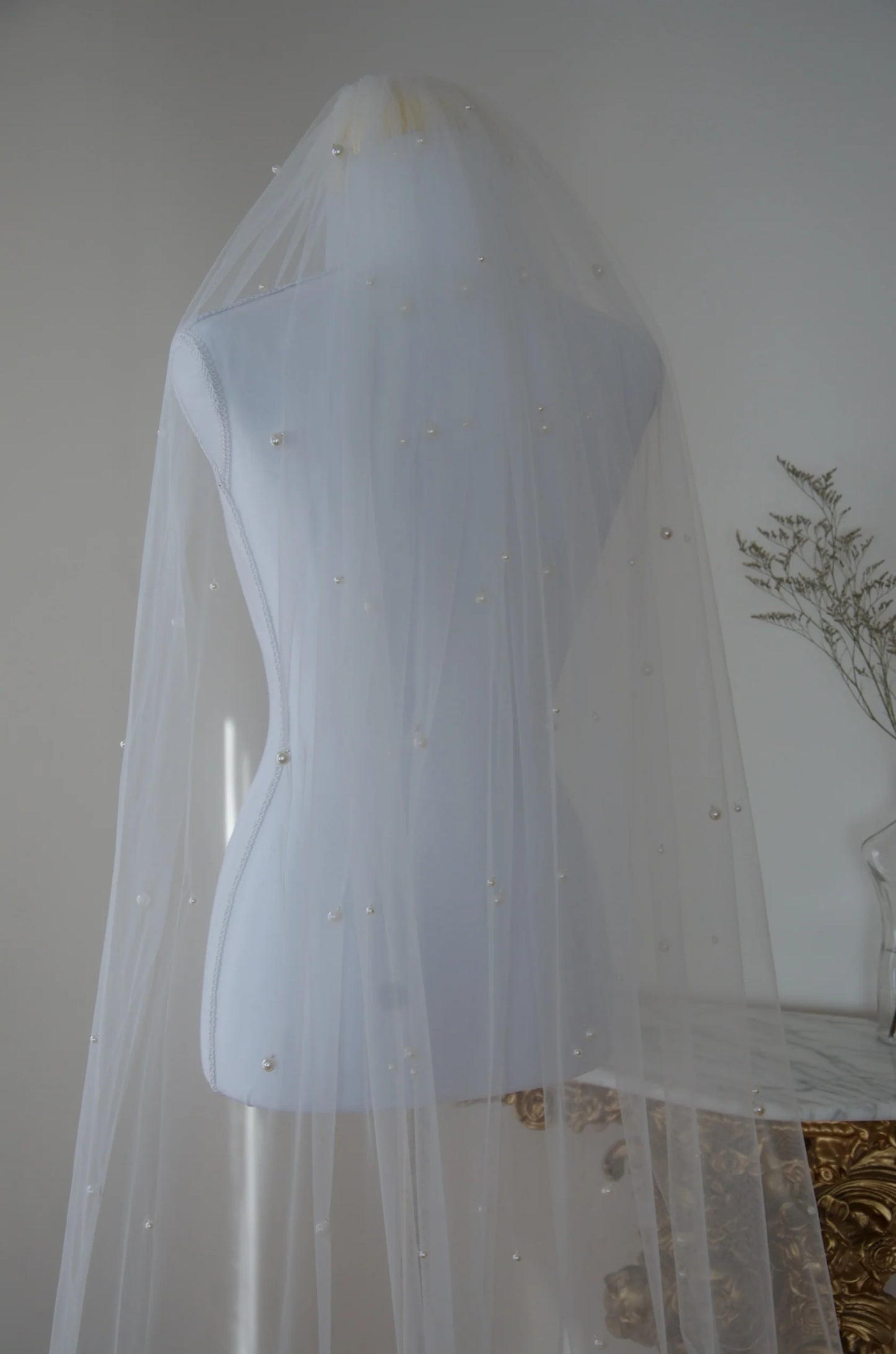 Danika Veil