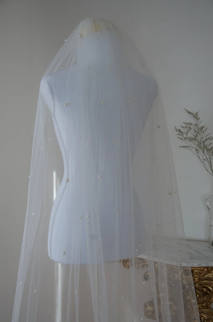 Danika Veil