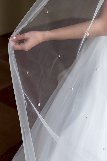 Danika Veil