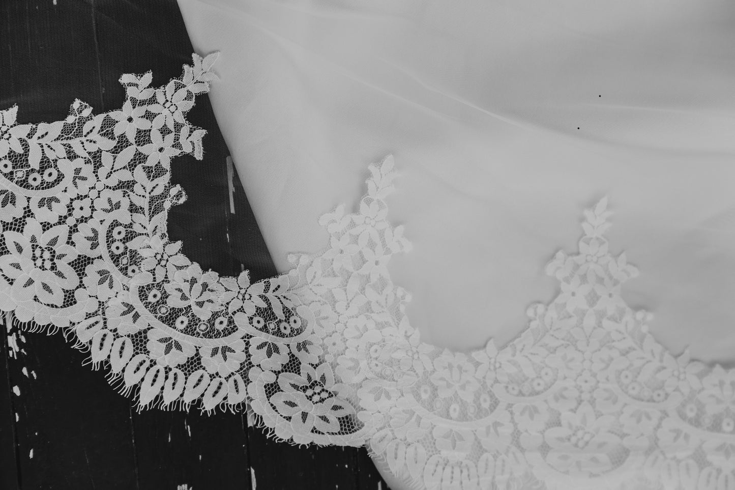 Teigan Veil