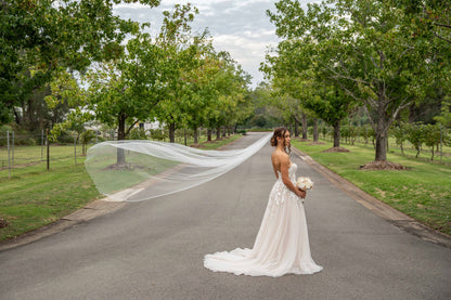 Chloe Veil